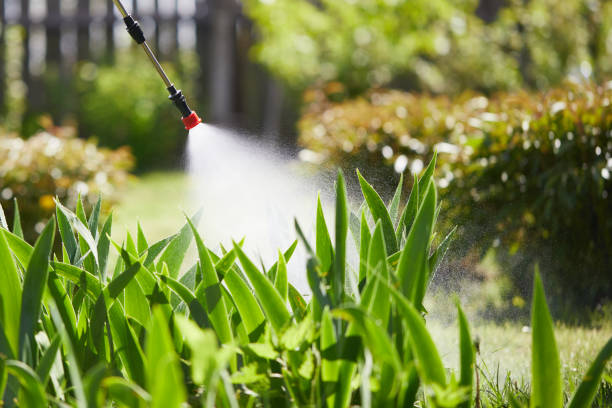 24/7 Emergency Fumigation Services experts in Russell, KY