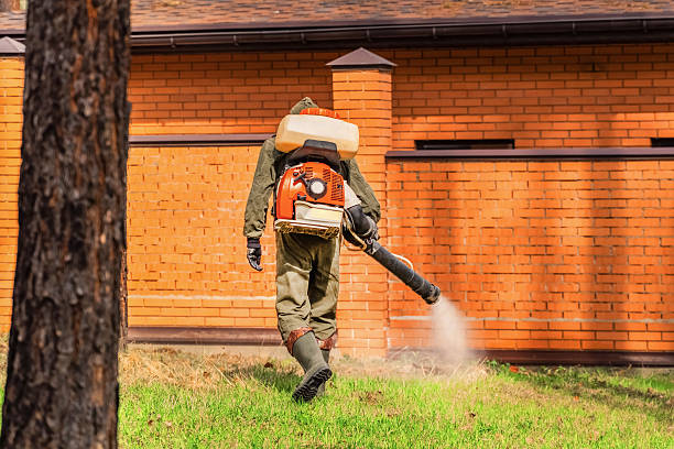 Top rated local Fumigation Services specialists in Russell, KY